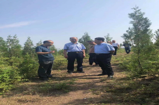 龙家圈街道高质量推进山水林田湖草沙项目(1)273.png