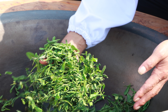 微信图片_20210926161852.jpg 微信图片_20210926161852.jpg