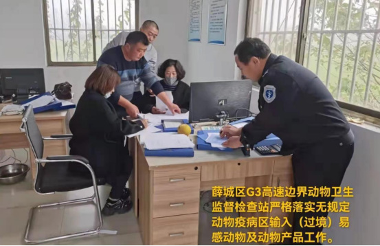 枣庄薛城稿件20211118551.png