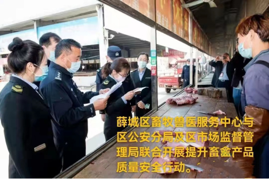 枣庄薛城稿件202111181294.png