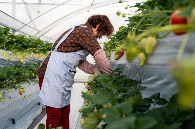 图片2.png 图片2.png