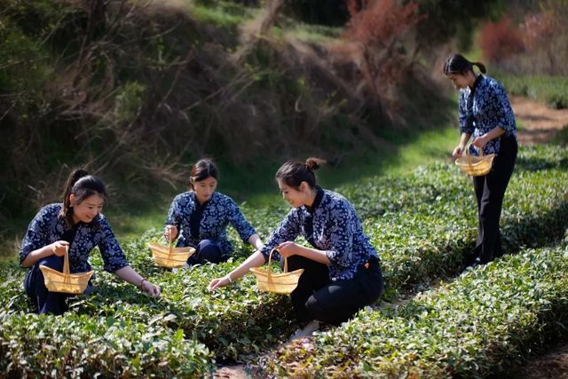 微信图片_20220803193746.jpg 微信图片_20220803193746.jpg