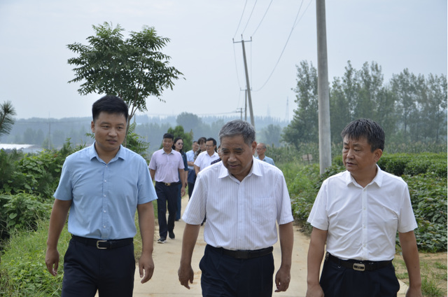临沂市莒南县洙边镇举行共建白茶基地揭牌仪式573.png