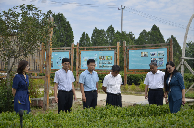 临沂市莒南县洙边镇举行共建白茶基地揭牌仪式575.png