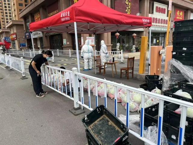 6379867576578355465592664.png 6379867576578355465592664.png