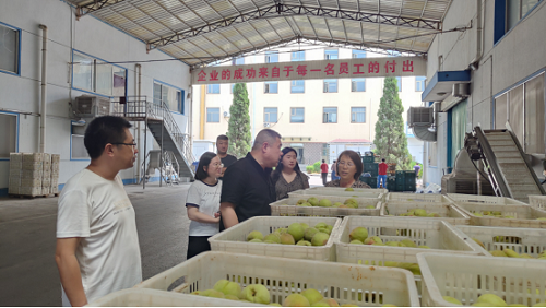 市督导组到河东区开展第三季度食品安全“两个责任”分层分级包保督导工作402.png