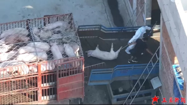 img-17638371393503136ee3064058b76f932b4eeb15690ff295d11298980e6a77598eb7d3dc8fa5f.jpg img-17638371393503136ee3064058b76f932b4eeb15690ff295d11298980e6a77598eb7d3dc8fa5f.jpg