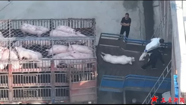 img-17638371419636495784e108ccc006371398fd8411fd7ec6c211702a7462d1238f2055a26a154.jpg img-17638371419636495784e108ccc006371398fd8411fd7ec6c211702a7462d1238f2055a26a154.jpg