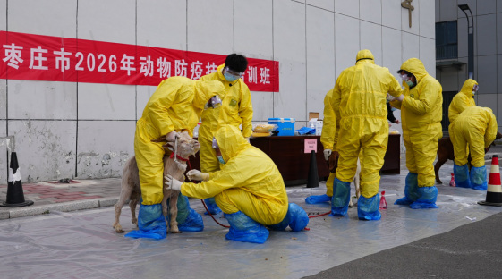 信息：全市动物防疫技术培训班在薛城成功举办752.png
