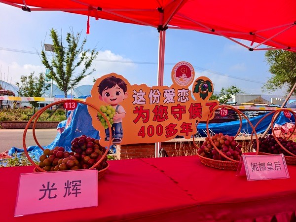 微信图片_20260829090950_90_1112.jpg