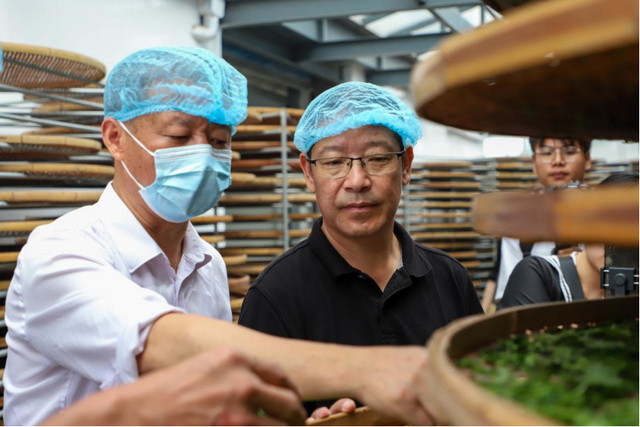 守南茶北引根脉 以匠心拓茶业新局— 圣谷山高建华深耕北方茶的长期主义之路1180.png