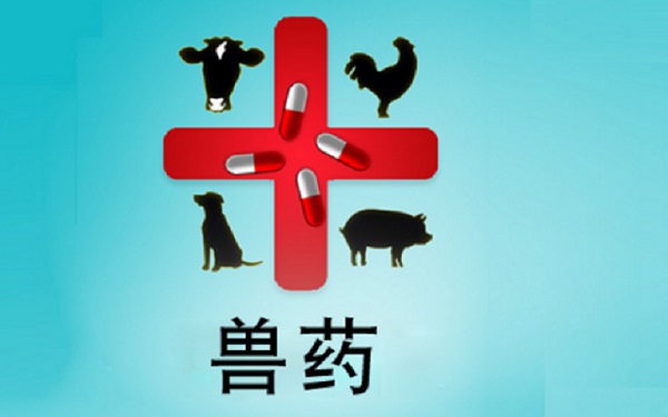 农业农村部农药兽药综合整治专班召开农药兽药互联网第三方交易平台座谈会